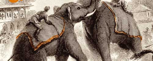 Mémoires d'éléphant